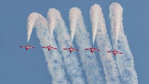 Snowbirds der kanadischen Streitkräfte.