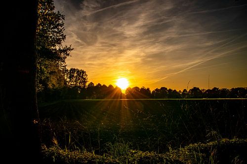 Golden sunset over the countryside
