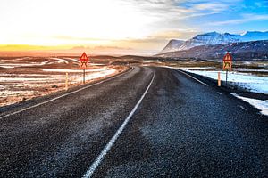 Straße auf Island von Sander Meertins