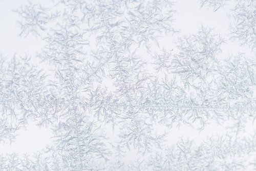 Geler des fleurs de glace sur la fenêtre