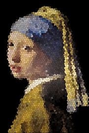 Das Mädchen mit dem Perlenohrring von Jessica Berendsen