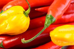 Rote Paprika und Madame Jeanette-Paprika oben drauf von Sjoerd van der Wal Fotografie