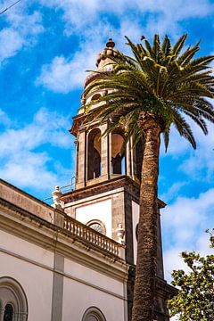 Tower of the Cathedral of La Laguna by Alexander Wolff