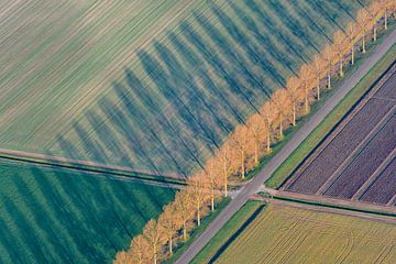 Luchtfoto van abstract landschap in Flevoland van Sjoerd van der Wal