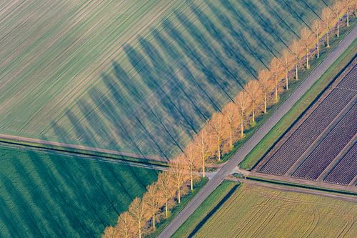 Luchtfoto van abstract landschap in Flevoland