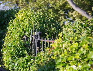 The hidden fence