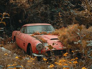 Vernachlässigter Oldtimer - von Blumen und Sträuchern überwuchert