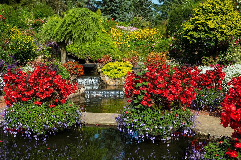 prachtige tuin met rode begonia en groenen planten van ChrisWillemsen