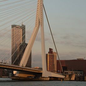 Erasmusbrug Rotterdam von Perry Dolmans