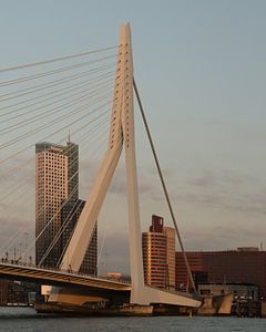 Erasmusbrug Rotterdam sur Perry Dolmans