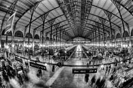 Gare du Nord van Esther Seijmonsbergen thumbnail