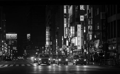 Tokyo by night in black and white