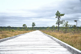 A wooden footbridge through moorland under a cloudy sky, with a sense of perspective and vastness by Martin Köbsch