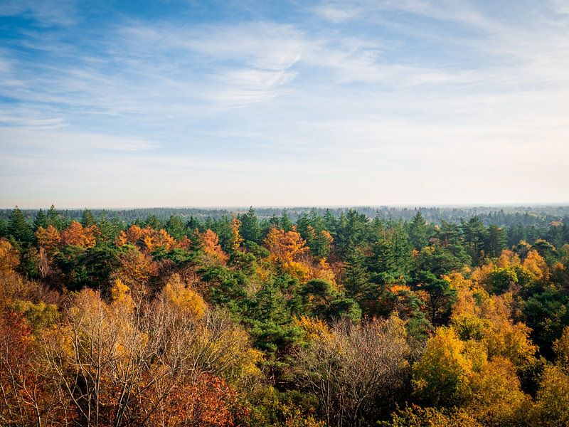Herbstausblick von snippefotografie