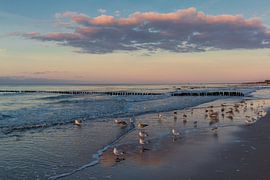 Evening walk along the beach promenade in Mielno by Oliver Hlavaty
