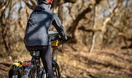 Cyclist through the Manteling of Walcheren