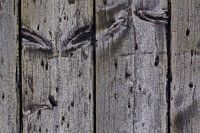 wood