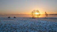 Sunrise over the polder
