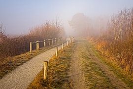 Nationaal Park de Groote Peel