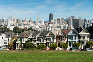 Painted Ladies van Wim Slootweg