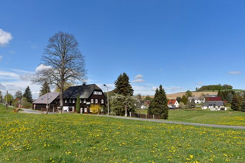 Duif huis