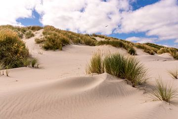 Loonse en Drunense duinen met mooie zandverstuiving. van Els Oomis