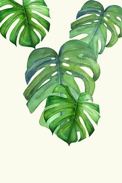 Monstera leaf by Dreamy Faces