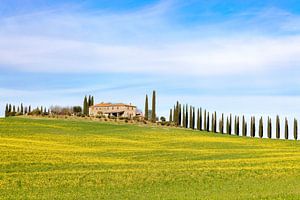 Frühling im Val d'Orcia
