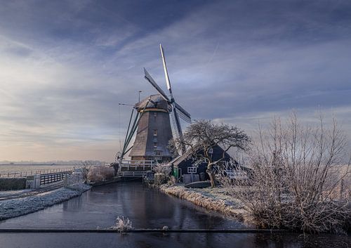 Une icône néerlandaise dans un décor hivernal !