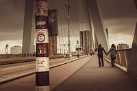 Rotterdam , Erasmus Bridge