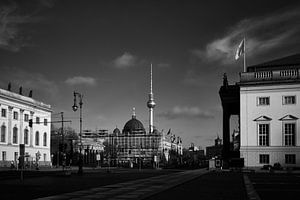 Unter den Linden van Iritxu Photos