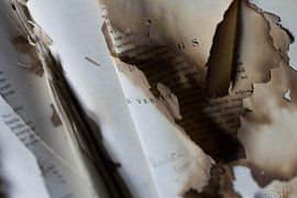 L' université passé by Stijn Matthé