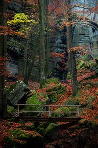 Schöne Herbstfarben im Mullerthal in Luxemburg. von Jos Pannekoek
