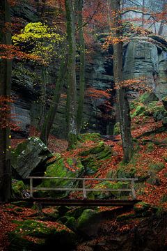 Mooie herfstkleuren in het Mullerthal in Luxemburg. van Jos Pannekoek