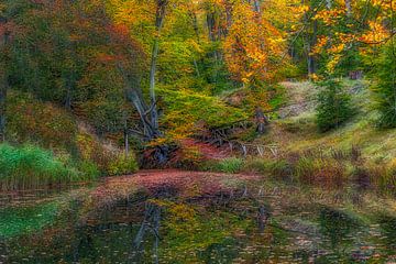 Malerischer Herbstsee, Elswout von Ferdinand Mul