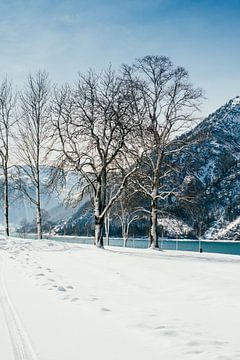 Paysage d'hiver dans les Alpes sur Patrycja Polechonska