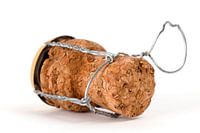 Just Released The Cork | image of a cork on white