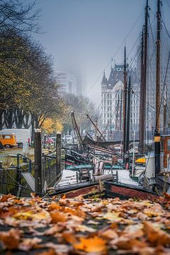 The White House, in Rotterdam by Leon Okkenburg