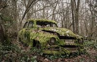 Moss Car France