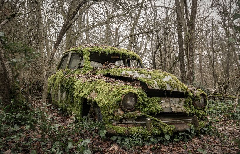 Moos-Auto Frankreich von Dafne Op 't Eijnde