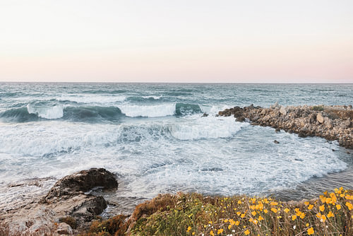 At the Coast