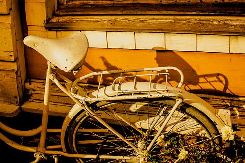 Cream Bicycle & Wooden Facade – Golden Hour Shadows