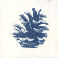 Pine cone