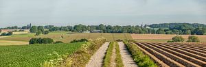 Panorama der Einheit der Mühlenfrauen und der Bosschen-Häuser