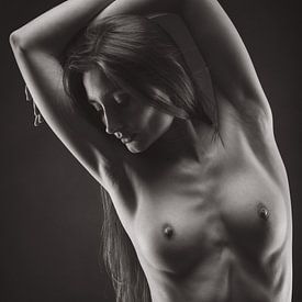 sensuele schoonheid van Frank Peters