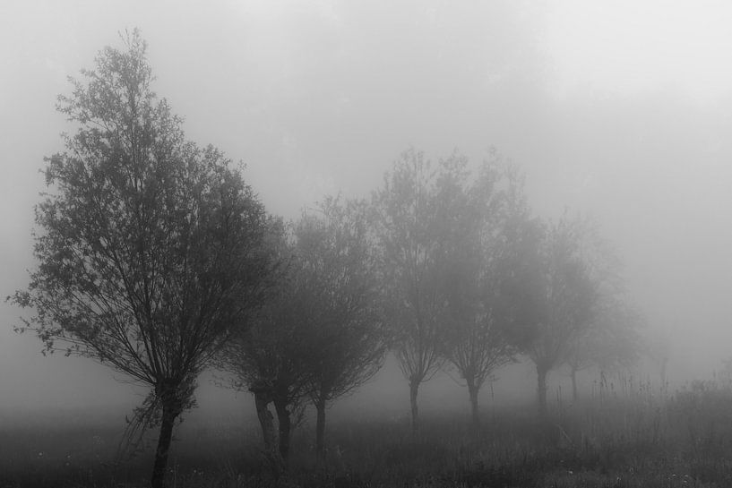 kleine Welt von Frencis van Run