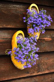 Traditional Dutch clogs with purple flowers. by CM_Images
