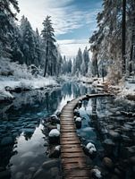 Frozen Lake, Web