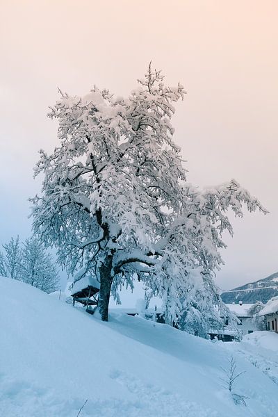 Pink Evening by Mariette Alders