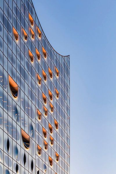 Glas front of the Elbphilharmonie in Hamburg by Werner Dieterich